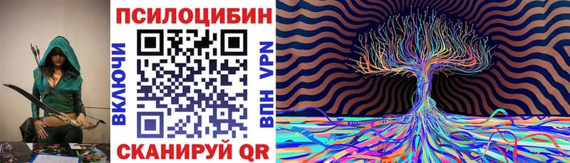 Купить закладки  Борисоглебск  Псилоцибиновые грибы Magic Shrooms 